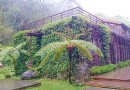苗栗景點．三義 山那邊．綠葉方舟Green Ark