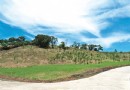 苗栗苑裡新地標！重新打造綠地公園 邀游客游田園風光