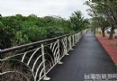 苗栗：官義渡生態公園 候鳥避冬棲息地
