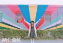 彰化數百頭乳牛奔走 童趣彩繪村