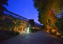 落羽松林和玻璃花房 彰化的夢幻花園咖啡廳