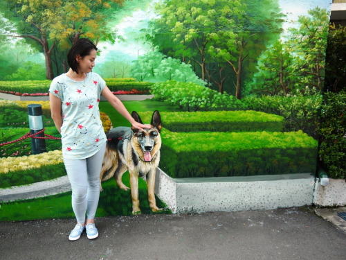 1477894727809991.jpg tumblr_inline_oew8myRBvI1ur2569_500.jpg