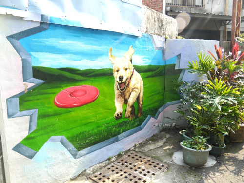 1477894652116943.jpg tumblr_inline_oew8mfm8xK1ur2569_500.jpg