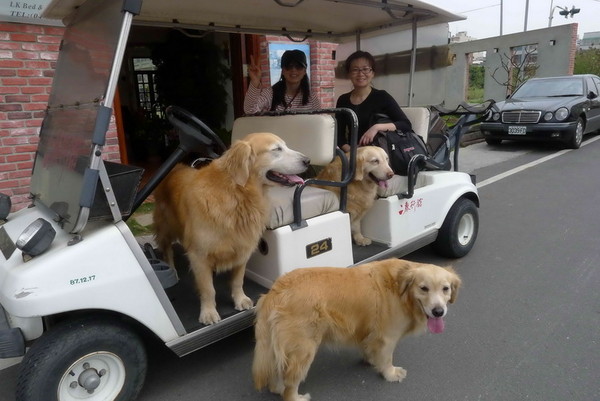 台灣自助游圖片