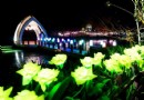 與玫共舞，清境花現清境小瑞士花園！