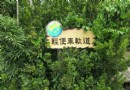 南投秘境！鹿谷的古早五分車 紀錄輕便車軌道回憶