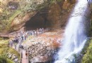 私房景點！南投“杉林溪”賞花美景、看滿天星斗