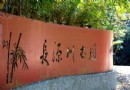 南投—免門票、又同樣能達到森呼吸效果的幽靜景點