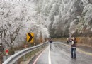 合歡山雪季登場 交管情報公佈