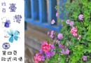 情境英格曼，遇見小而美的歐式風情