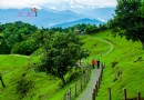 南投景點全攻略（3）--青青草原