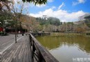 水裡 日月潭二日游行程