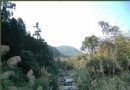 盤點台灣私密景點，你不知道的溪頭美景