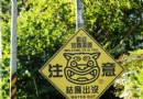 溪頭松林妖怪村
