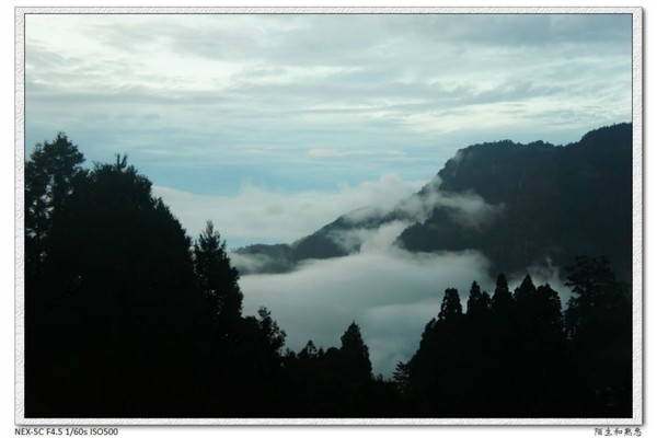 阿裡山景點圖片