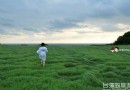 除了風景，還有感動