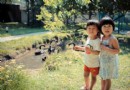 台灣親子美麗之旅：墾丁、清境農場篇