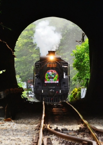 “南投火車好多節” 跟著菇菇發現旅行樂趣