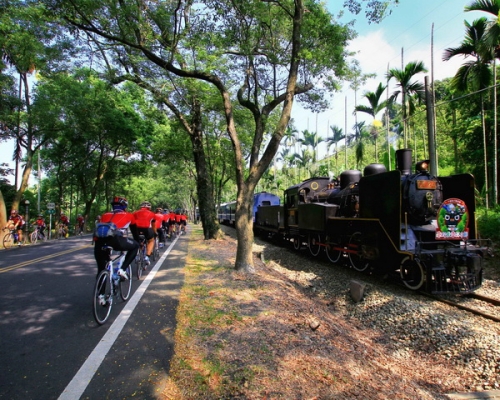 “南投火車好多節” 跟著菇菇發現旅行樂趣