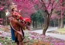 南投九族文化村2-3月份賞櫻攻略