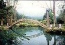 這邊風景獨好--南投縣溪頭自然教育園區