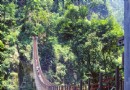 南投縣竹山鎮天梯(梯子吊橋)