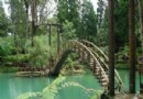 溪頭風景區旅游攻略