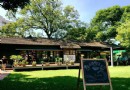 日式老屋大改造 雲林城市秘境咖啡館