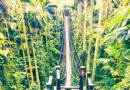 氣氛滿點拍照地 雲林古坑情人橋意外變熱門