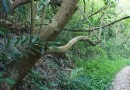高雄捷運“左營站”周邊玩什麼？爬半屏山走眷村 逛當年美國大兵最愛的“哈囉市場”