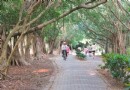 好去處！高雄“都會公園”騎鐵馬、打球超悠閒der