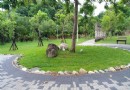 閒暇好去處│高雄林園區大安翡翠2號公園 文化結合煥新光彩