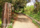 登上旗尾山，欣賞綿延不絕的稜線之美
