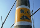 美濃單車行 七彩路線漫游美濃