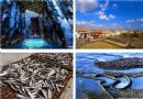 海島玩樂不後悔選擇｜你不能不知道的澎湖玩法！