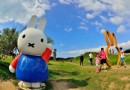新北河濱公園，好吃、好玩在此一網打盡！