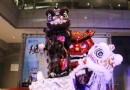2016新北市泰山獅王文化節 獅戰十年 藝傳天下