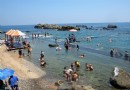 東北角超贊天然泳池！新北龍洞灣海洋公園。夏日戲水大推薦（上）