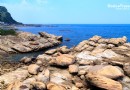 新北瑞芳~東北角濱海公路奇景南雅奇巖