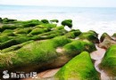 一生至少要看一次的美景～石門老梅綠石槽
