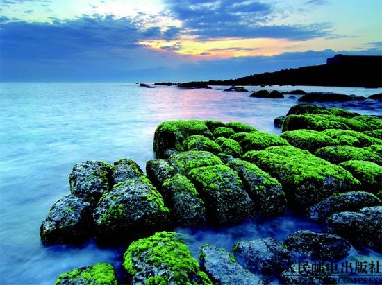 美麗的海岸