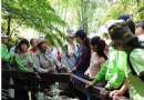 新北生態輕旅行，六大主題系列活動！