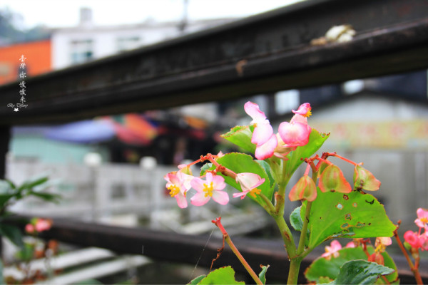 台灣景點圖片