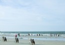 北海