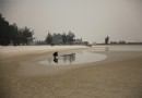 會仙河公園