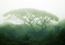 聖堂山