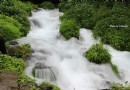 黑魚河