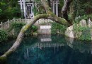 蝴蝶泉