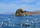 小普陀