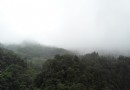 麻栗坡老山